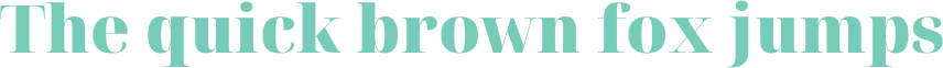 'The quick brown fox jumps' typeset using Noto-Serif-Display-Black