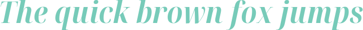 'The quick brown fox jumps' typeset using Noto-Serif-Display-Condensed-Bold-Italic