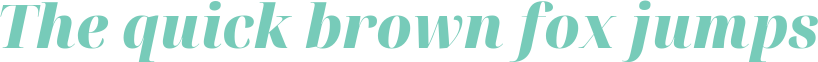 'The quick brown fox jumps' typeset using Noto-Serif-Display-SemiCondensed-Black-Italic